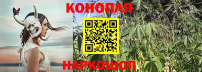 тгк Дубна