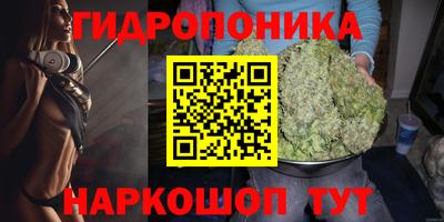 тгк Дубна