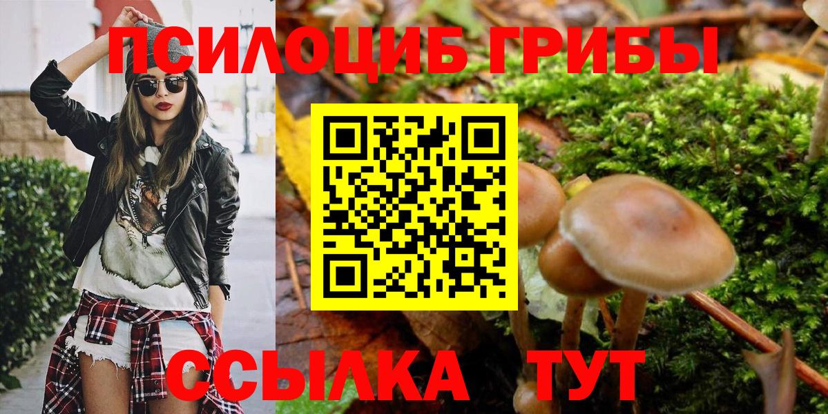 Псилоцибиновые грибы Psilocybine cubensis Ликино-Дулёво