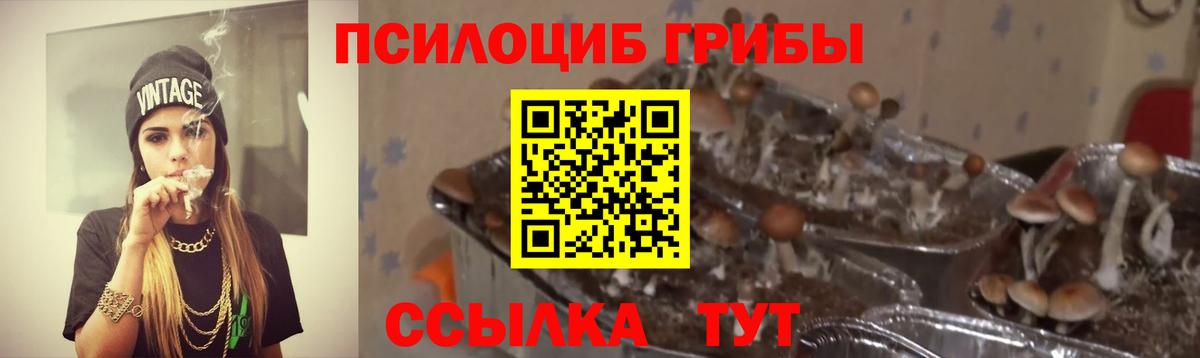Галлюциногенные грибы Magic Shrooms  Вход с VPN  Псилоцибиновые грибы Psilocybe  Ликино-Дулёво 